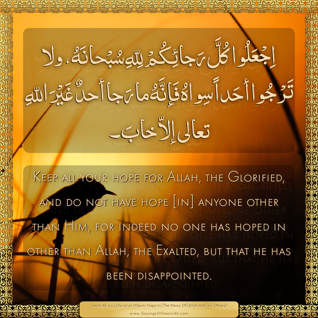 Keep all your hope for Allah, the Glorified, and do not have hope [in]...